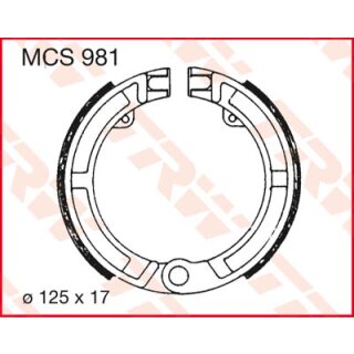 Bremsbeläge Bremstrommel Brake Shoe Kit Bremsbacken TRW/Lucas MCS 981