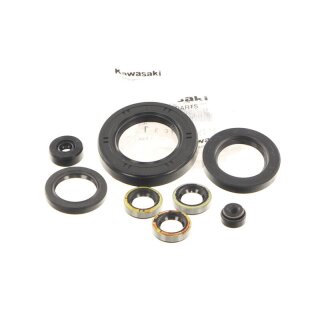 Kawasaki Z1 Z1A Z1B Z KZ 900 1000 Motorsimmerringe Engine Oil Seal Set OE