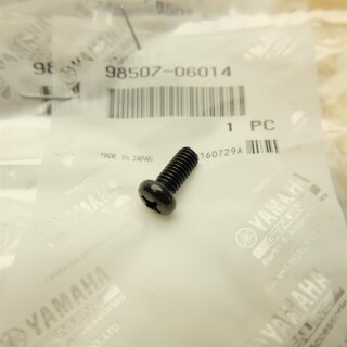 Yamaha Screw Pan 98507-06014