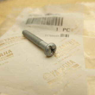 Yamaha Screw Pan Head (6H4) 97885-06035